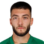 D. Mitkov photo