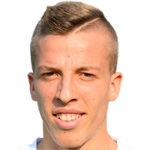 N. Vlajković photo