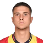 Zinedin Smajlović photo