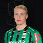 V. Rönnberg photo