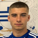 D. Trninic photo