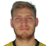 D. Arsentjev photo