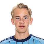 Carl Selfvén photo