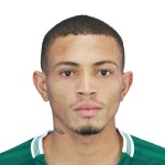 Ratinho photo