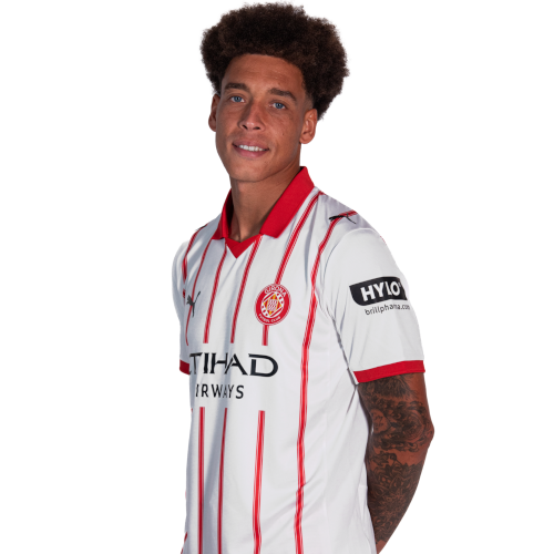 Axel Witsel photo