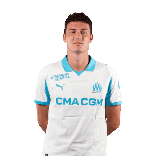 Benjamin Pavard photo