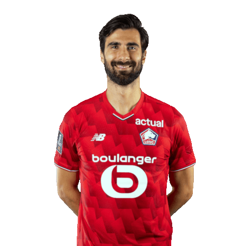 Andre Gomes photo