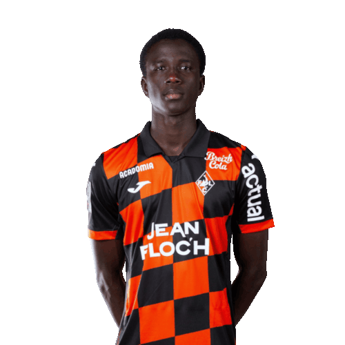 Abdoulaye Faye photo