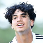 Omar Megeed photo