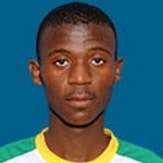 N. Sibiya photo