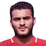 Hesham Hafez photo