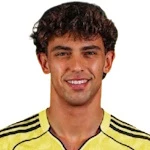 João Félix photo
