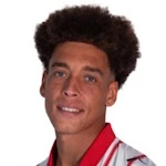 Axel Witsel photo