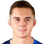 N. Krstić photo