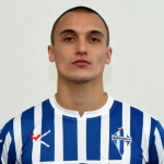 Nikola Vukajlović photo
