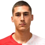 Nikola Skrobonja photo