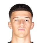 Tarik Muharemović photo