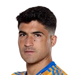 N. Ibáñez photo