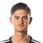 Nico van Rijn photo