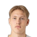 A. Ødegård photo