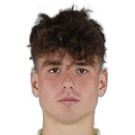 Ioan Vermesan photo