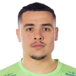 A. Ibrahimović photo