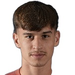 Bogdan Mirčetić photo