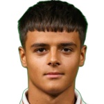 Luka Zarić photo