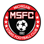 Michigan Stars logo