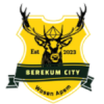 Berekum City logo