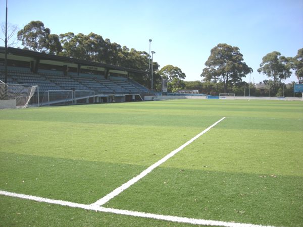 Seymour Shaw Park stadium image