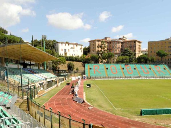 Stadio Comunale Artemio Franchi - Montepaschi Arena stadium image