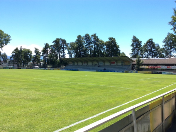 Waldstadion Hard stadium image