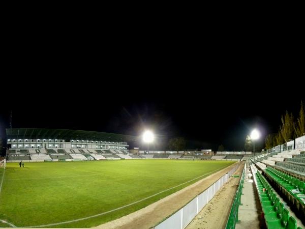 Estadio Municipal Salto del Caballo stadium image