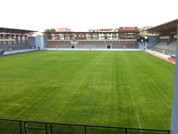Maltepe Hasan Polat Stadı stadium image