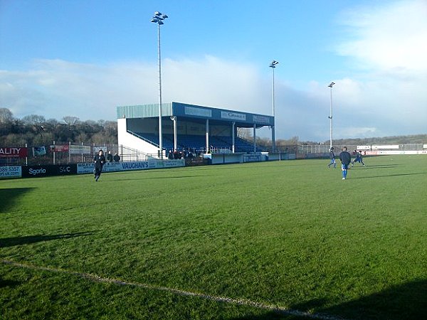 New Bridge Meadow Stadium stadium image