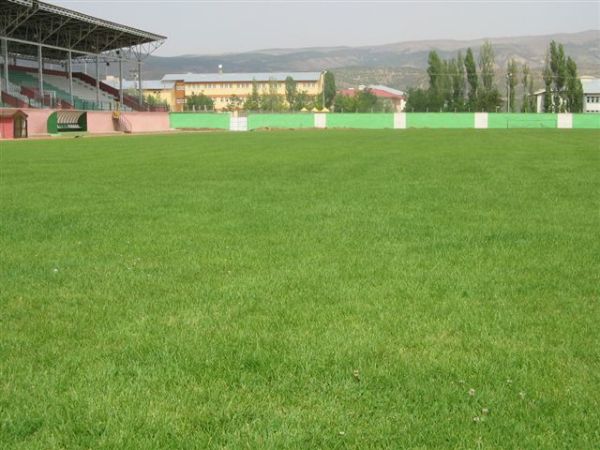 Bingöl Şehir Stadyumu stadium image