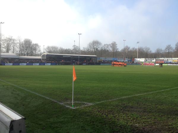 Sportpark de Boshoek stadium image