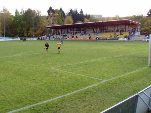 Arena zur Vogtlandweide stadium image