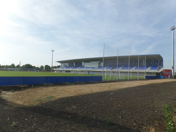 Estadio Fernando Torres stadium image