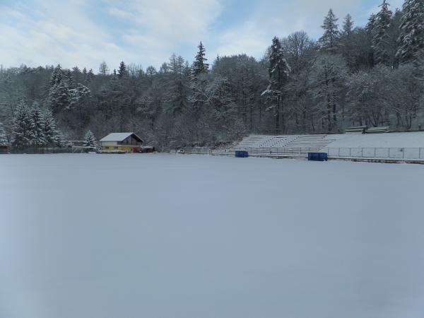 Stadionul Bucegi stadium image