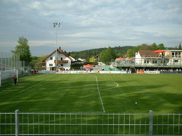 Kleiner-Arena stadium image