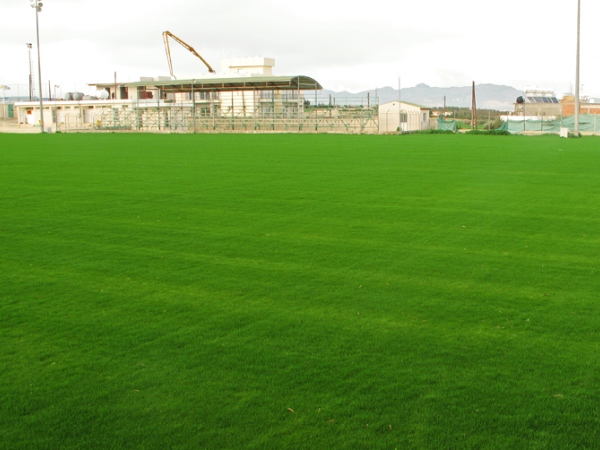 Dimotiko Stadio Latsia stadium image
