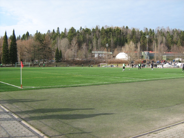 Kisapuiston tekonurmi stadium image