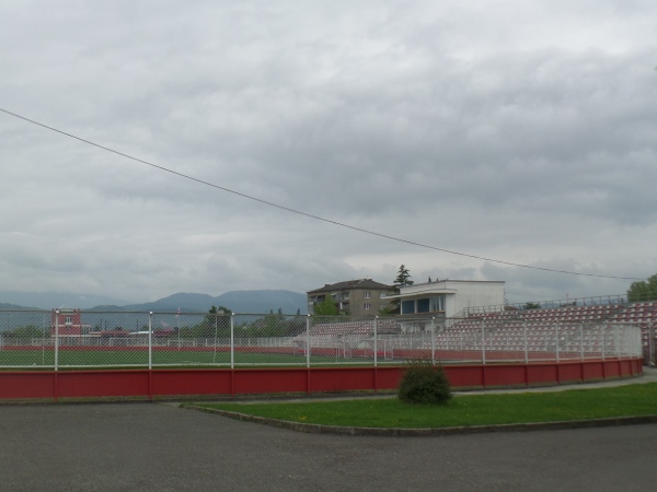 Stadioni Erosi Manjgaladze stadium image