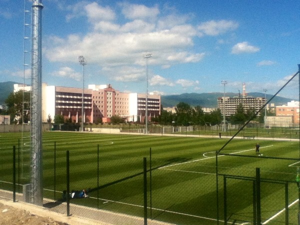 Vitali Daraselias Sakhelobis Dinamos Sapekhburto Akademia stadium image