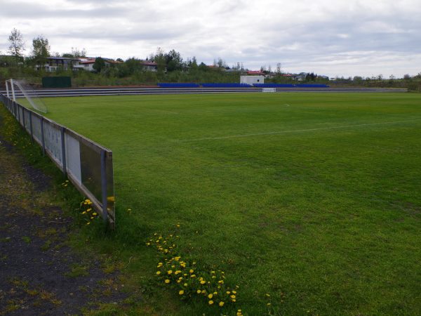 Hertz völlurinn stadium image