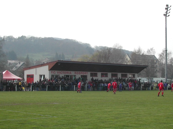 Party-Rent-Arena stadium image