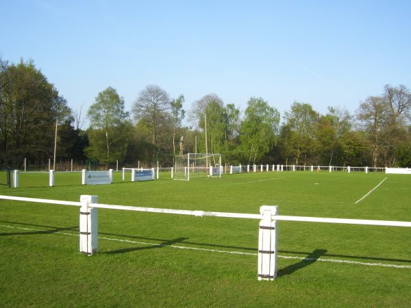 Ascot Racecourse stadium image