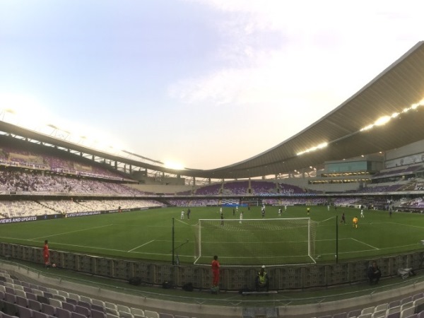 Hazza Bin Zayed Stadium stadium image